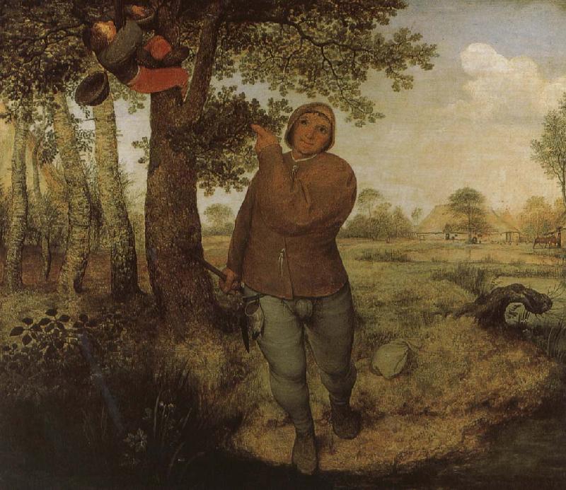 Pieter Bruegel From farmers and Selenocosmia oil painting picture